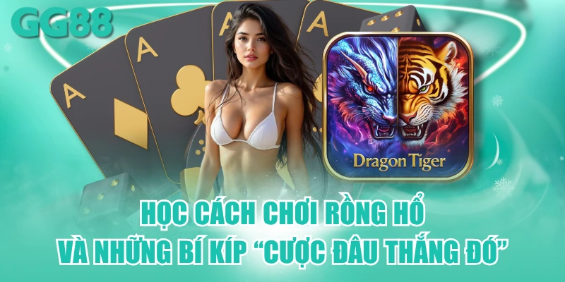 Rồng Hổ