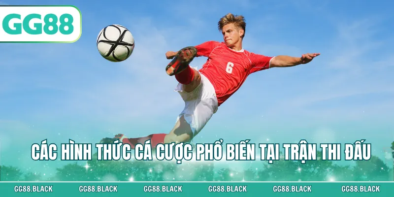 Các hình thức cá cược phổ biến tại trận thi đấu